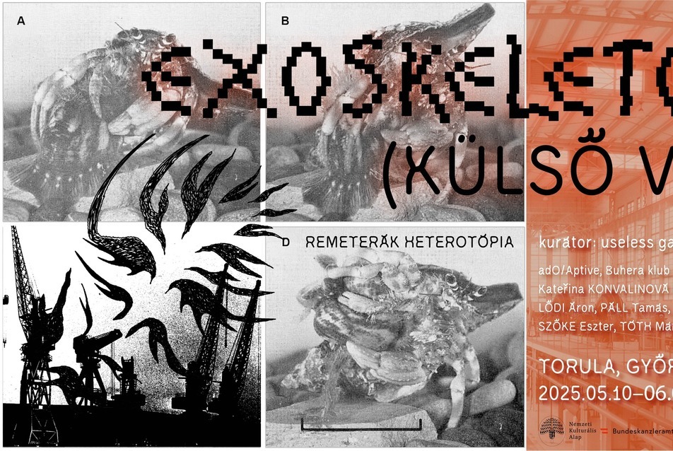 EXOSKELETON (Külső váz) – Remeterák heterotópia