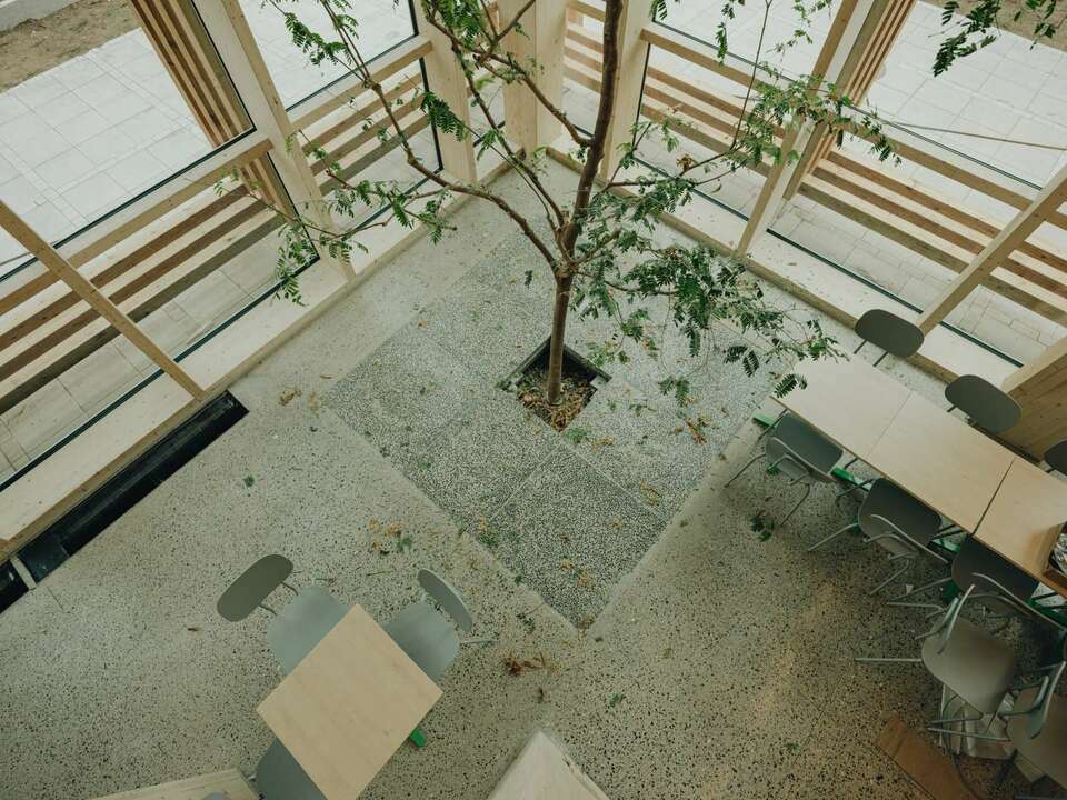Pelgulinna Gymnasium, Tallinn. Építészet: Arhitekt Must. Fotó: Tonu Tunnel
