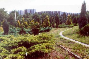 Önkormányzati arborétum kertek