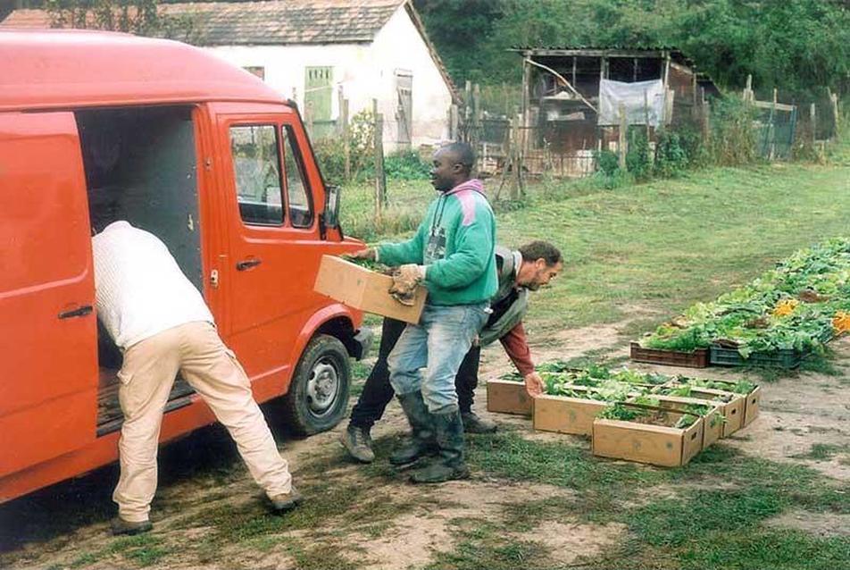 A rekeszeket a termelő CSA futár segítségével házakhoz illetve közösségi gyűjtőpontokra szállítja. (Fotó: M. Hayes)