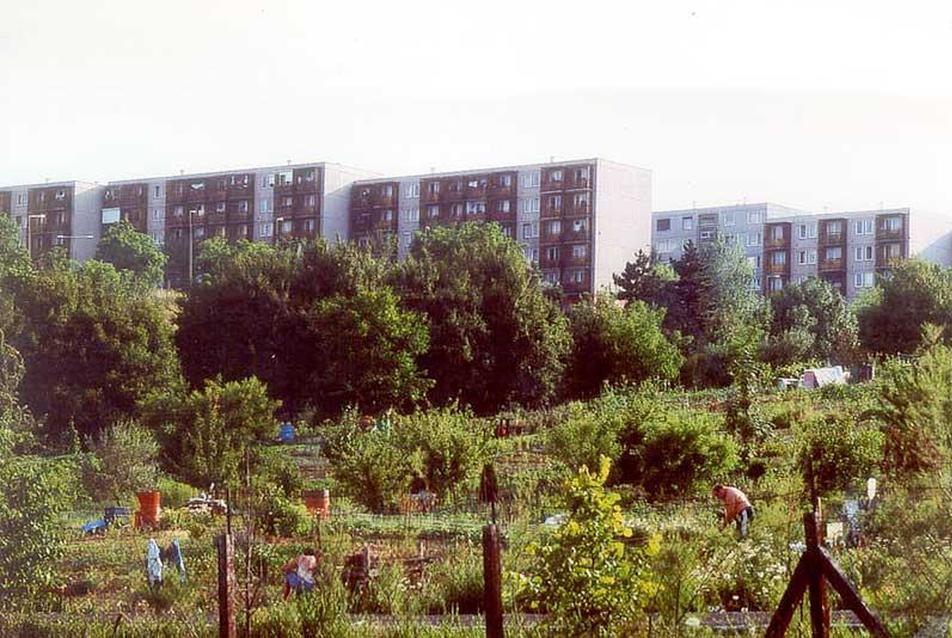 kertművelésbe fogott parlag területek
