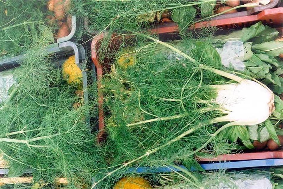 A CSA csoport tagjai hetente friss biozöldségekkel, gyógynövényekkel teli rekeszeket vásárolnak. (Fotó: M. Hayes)