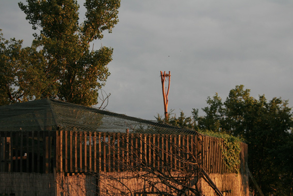 Madárpark épül Hortobágyon