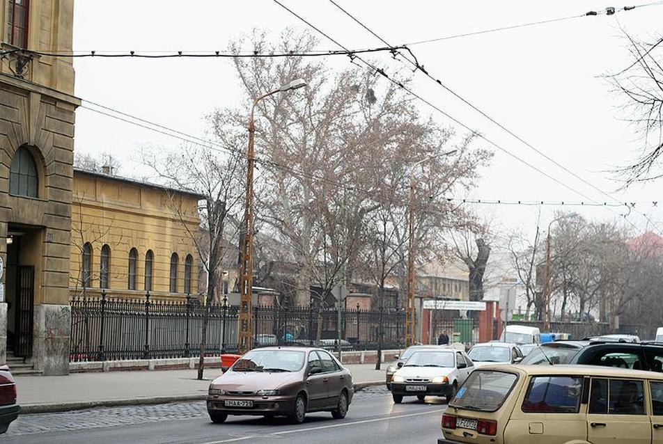 A befektetői ajánlatokról döntés január közepén – KN Budapest