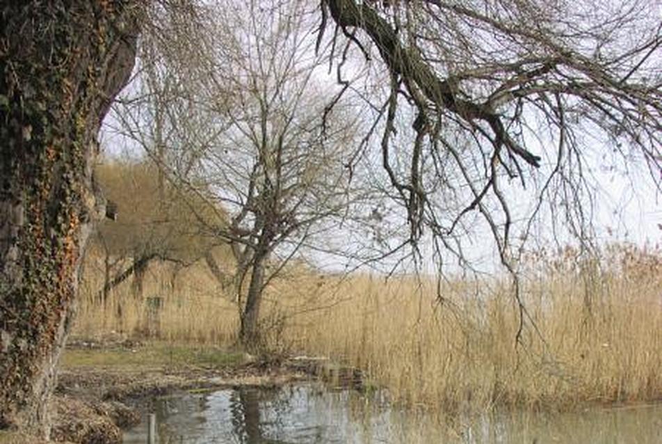 Balatonszepezd, a terület jelenlegi állapota