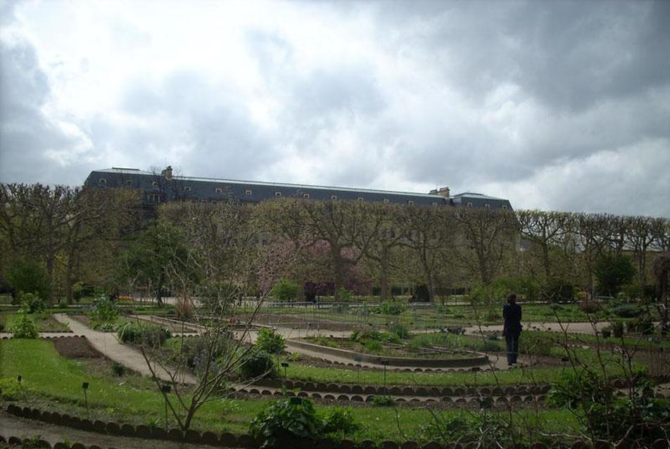 Jardin des Plantes