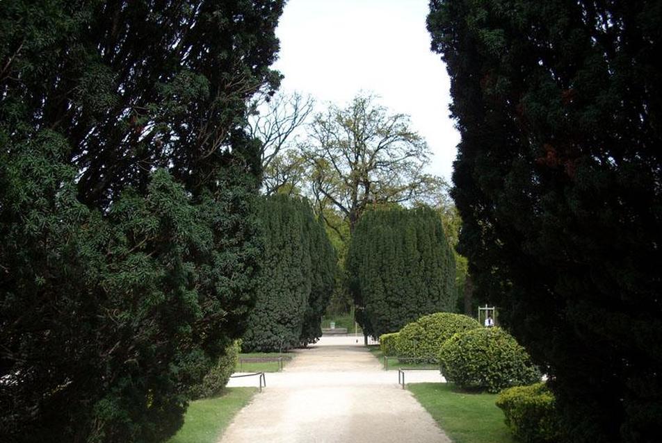 Jardin des Plantes