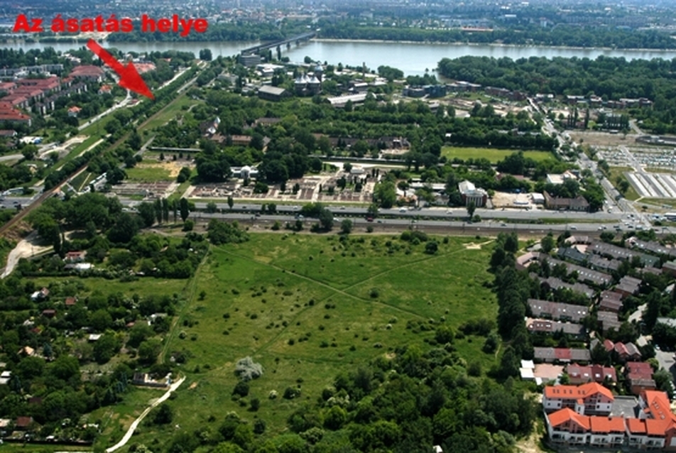 Kút, fal, kutya