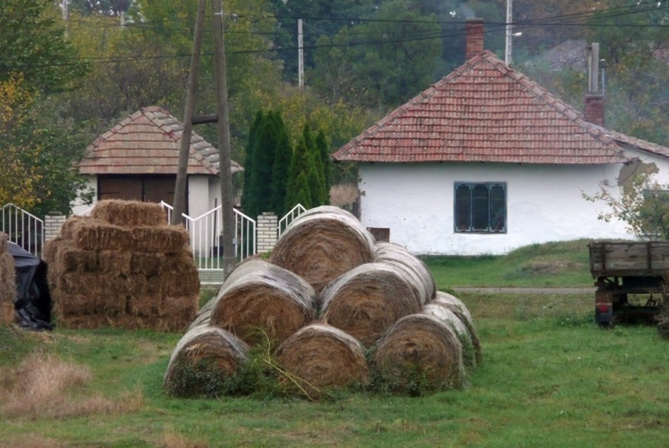 Helyi hagyományaink