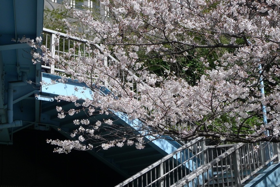 Roppongi felüljáró, fotó: Várhelyi Judit