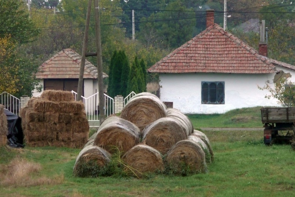 Gyomaendrőd, 2009.10.17. fotó: perika 