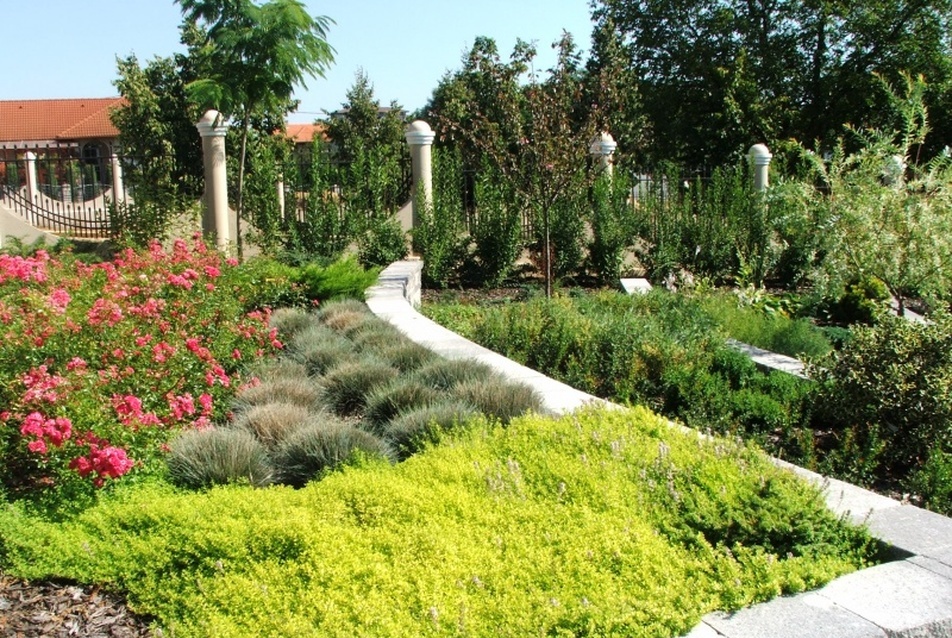 Kötött geometria, szabad növénytársítások: díjnyertes magánkert Nyíregyházán