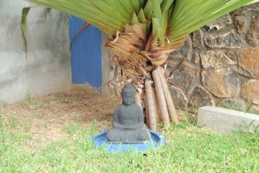 Buddha - fotó: Sánta Gábor