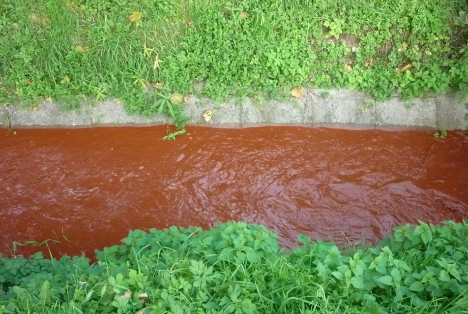 Nemcsak a Torna szennyezett, hanem a vízelvezető csatornák is.