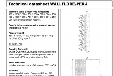 Wallflore Per-i