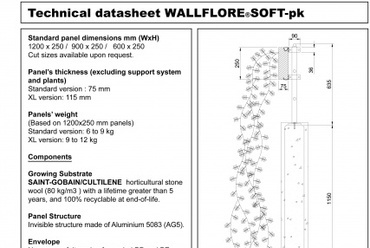 Wallflore Soft-pk