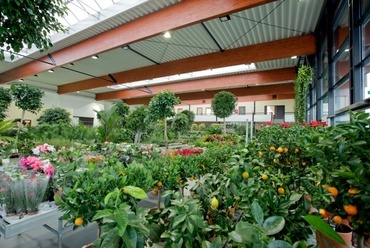 Plantart Központ és Virágpiac. Tervező: Rombauer Gábor