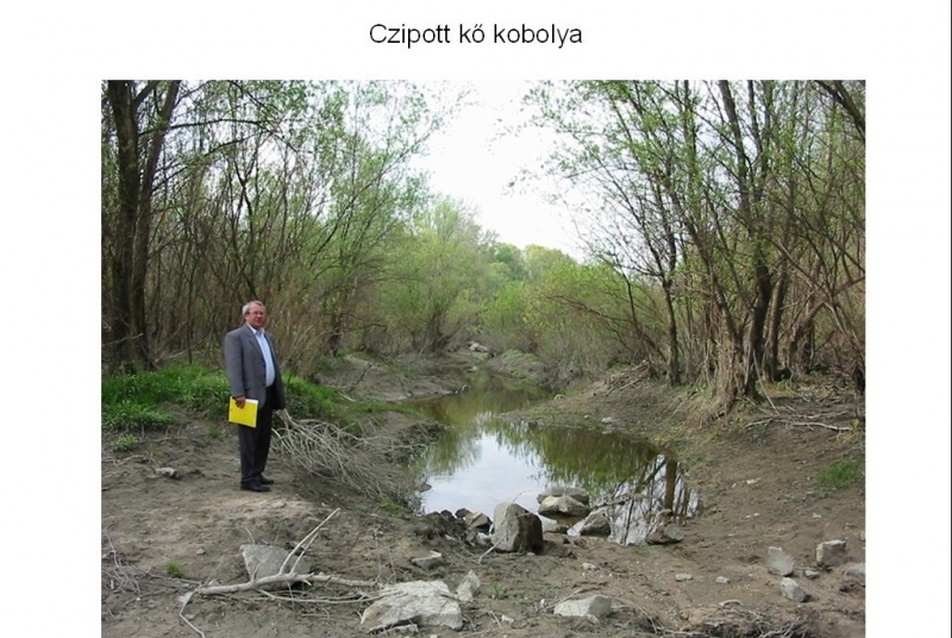 Dr. Rácz Tamás előadása