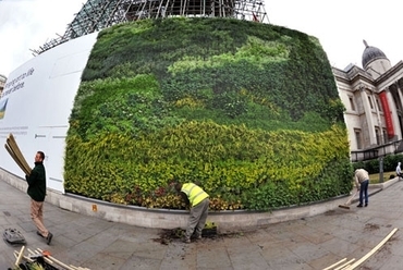 Van Gogh zöldfala