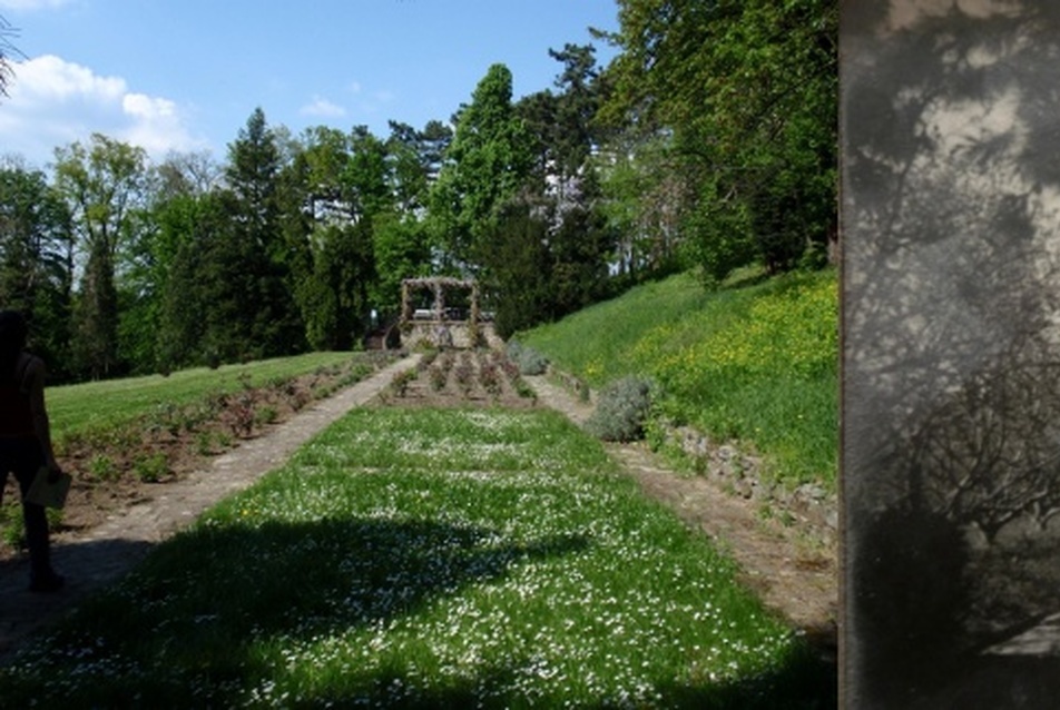 A szigligeti Eszterházy-kastélypark történeti rekonstrukciója