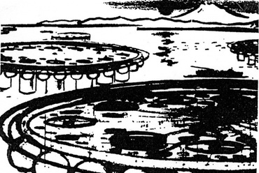 Kikutake, 1958-as Víziváros terve