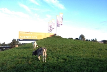 Campus tehenekkel