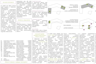 Tervezési program, koncepció