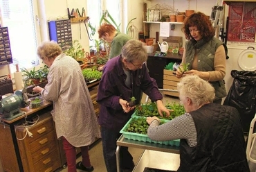 Färdknäppenben palántázó idősek Forrás: http://jubilares.files.wordpress.com/2013/03/fardknappen_jardineria.jpg letöltve: 2014.05.04. 