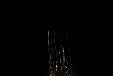 Hello Wood 2014 - fotó: perika