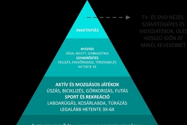 MMEK - Ábra, forrás: IFK