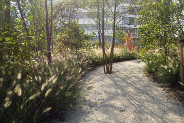 Novo Nordisk Nature Park, Bagsværd. Fotó: Torben Petersen & SLA Architects