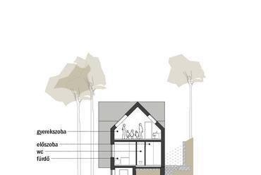 metszet - budaligeti családi ház - tervező: Pajer Nóra, Soltész Noémi