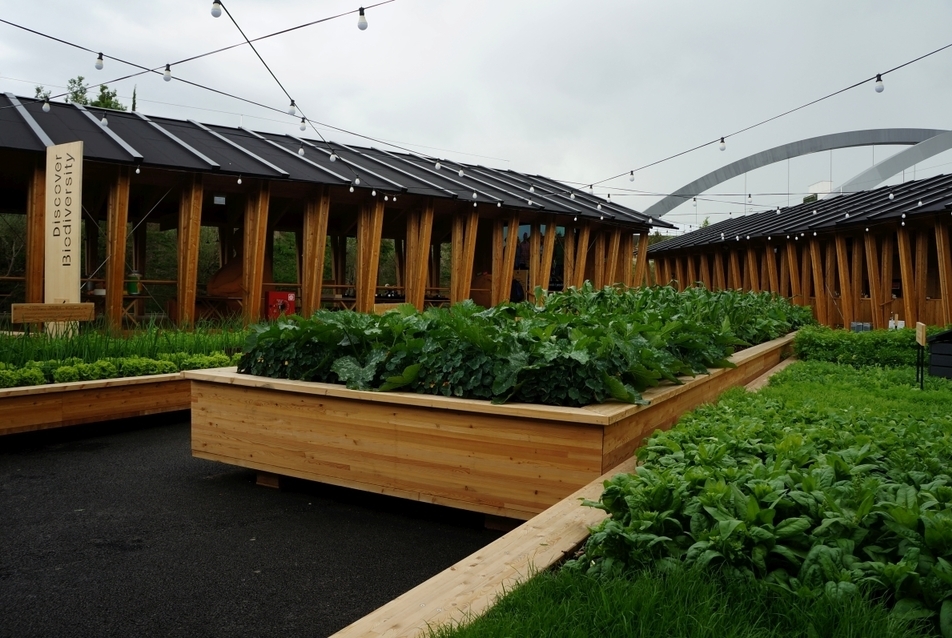 Herzog&DeMeuron, Slow Food pavilon - fotó: Mizsei Anett