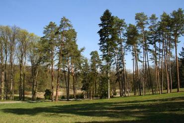 Károlyi-kastély park - fotó: Északerdő Zrt.