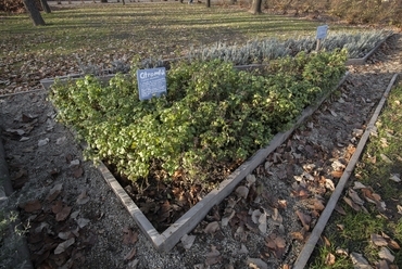 XVIII. kerület Kossuth tér - fotó: Danyi Balázs