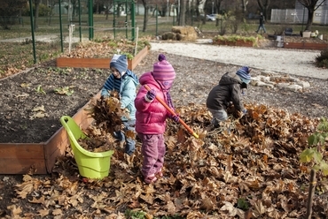 Közösségi kert a Lakatos lakótelepen - fotó: Danyi Balázs