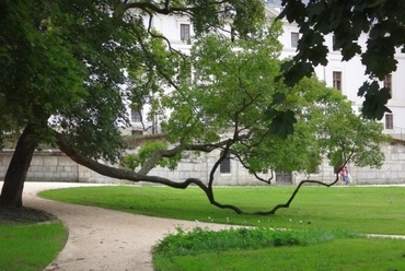 Bicske , Kossuth Zsuzsa Gyermekotthon korábbi Batthyány-kastély parkja 