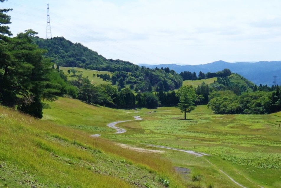 Japán: 23 MW-os naperőmű a bezárt golfpálya helyén