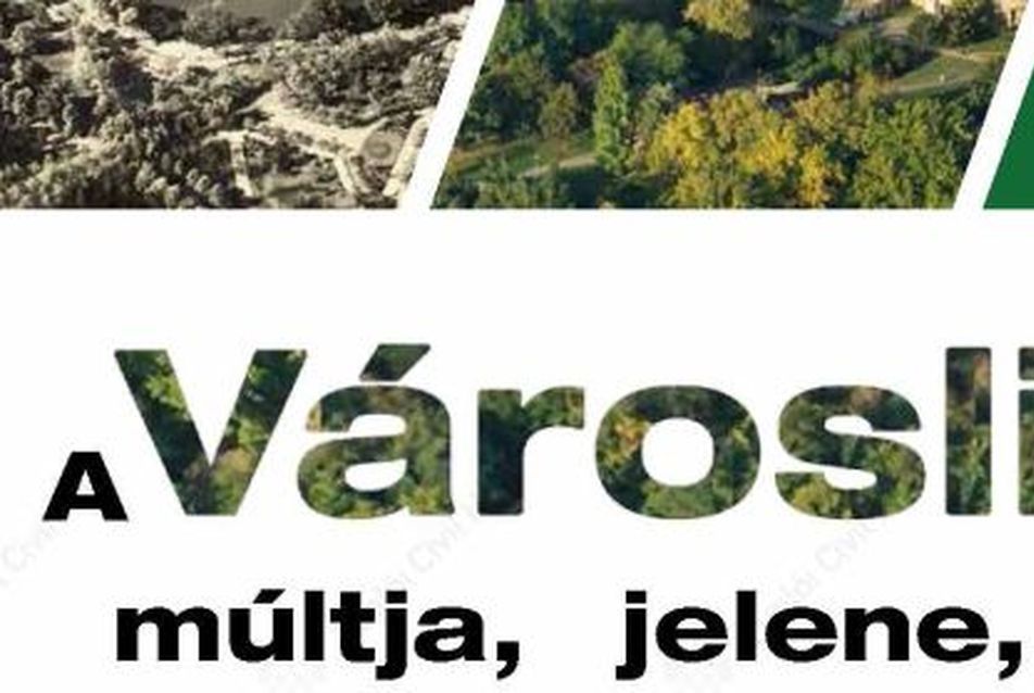 A Városliget múltja, jelene, jövője?
