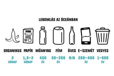 különböző hulladéktípusok lebomlása az óceánban - építész: Sághegyi Adél Laura