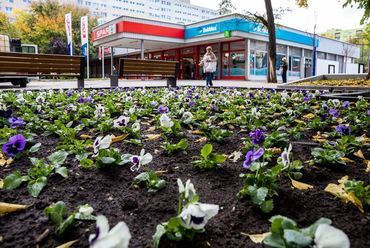 Átadták a felújított Rákosfalva parkot - fotó: Képszerkesztőség