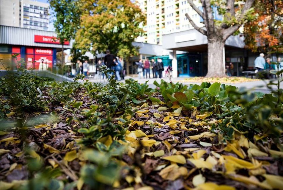Átadták a felújított Rákosfalva parkot - fotó: Képszerkesztőség