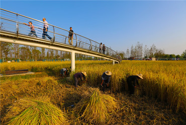 Csengtusan régészeti park, Kína - építész: Turenscape 