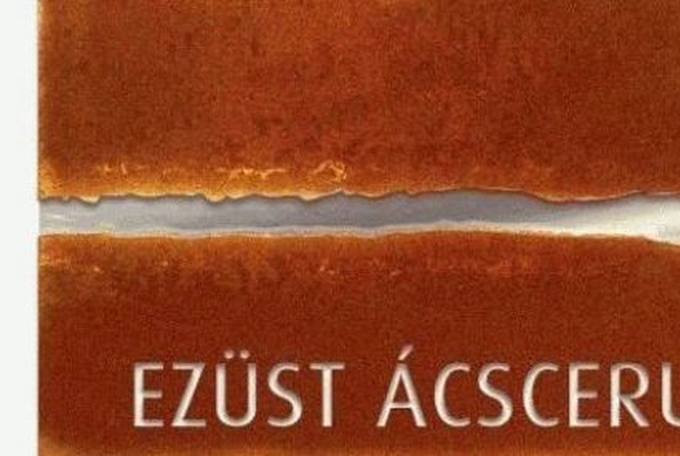 Átadták a 2017-es Ezüst Ácsceruza Díjat