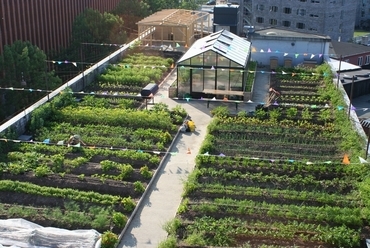 Urban farming, Dánia