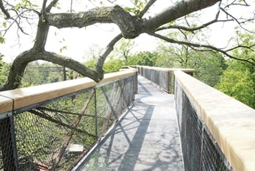 Treetop walkway - Angol Királyi Botanikus Kert
