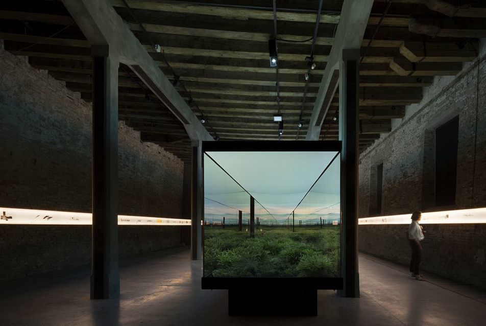 Argentin Pavilon - Horizontal Vertigo - fotó: Federico Cairoli (Archdaily)