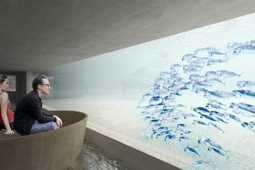 Az akvárium a külső vízi út felől - építész: Lévai Tamás (TARKA Architects)