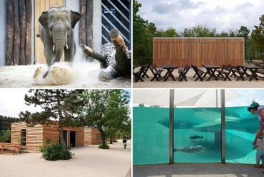 Az Elefánt-ház, a Büfé pavilon, a Dínó Park és a Vizes Élővilág (Forrás: Gaschler Építésziroda honlapja)