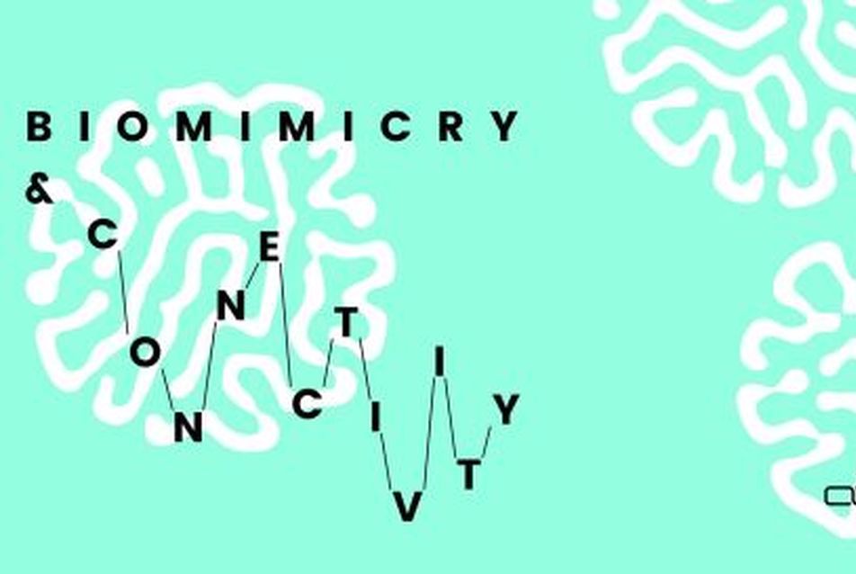 Biomimicry & Connectivity - Arts & Design Workshop / Design Week